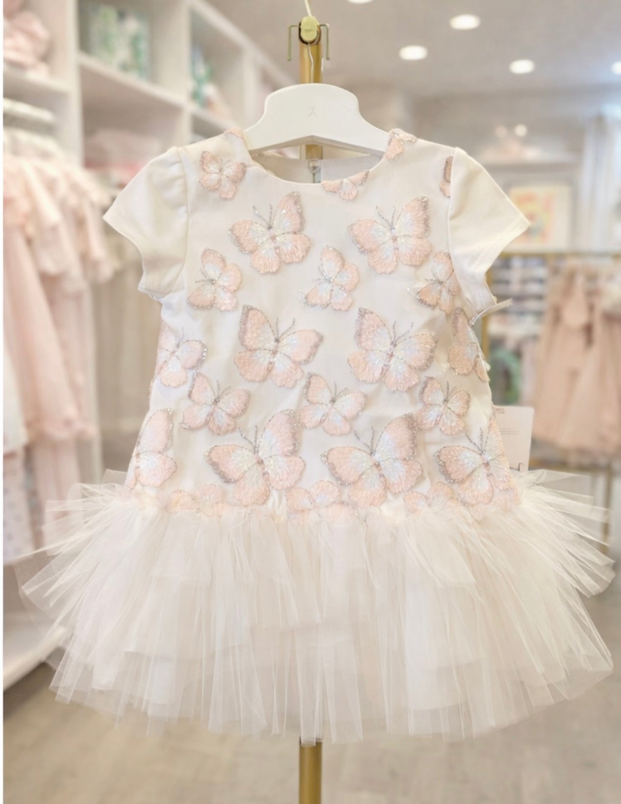 Daga Ivory Tulle & Peach & Silver Butterfly Motif Dress