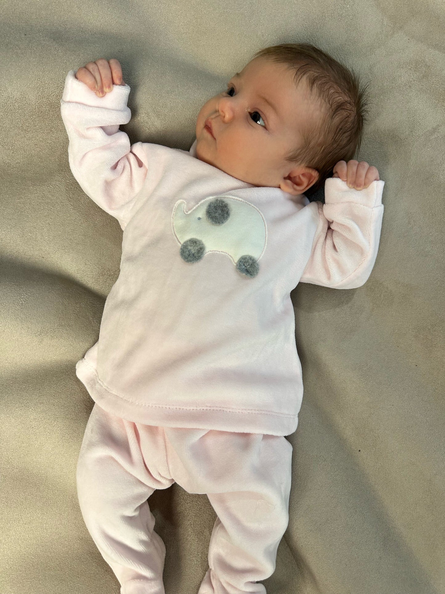 Coccode Baby Pink Velour Elephant Motif 2-Piece Babygrow