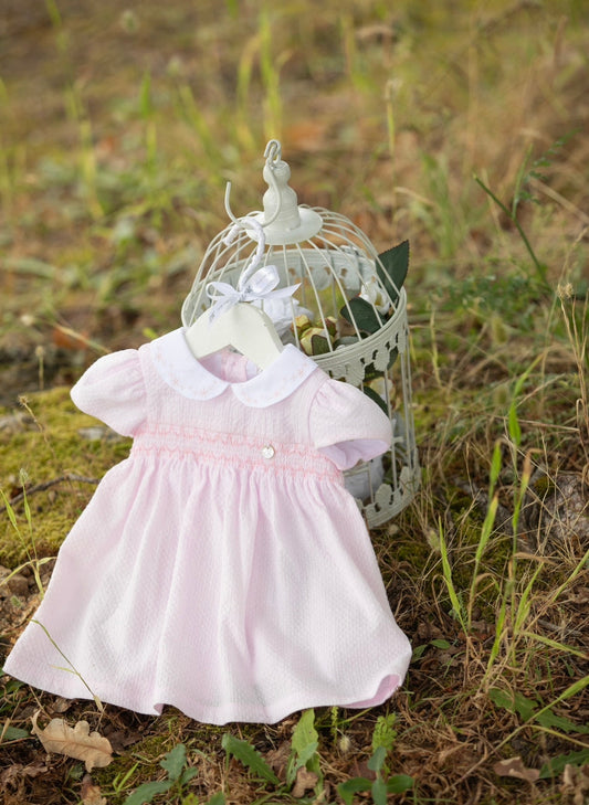 Dr. Kid Pink Seersucker Smocked Dress & Pants Set