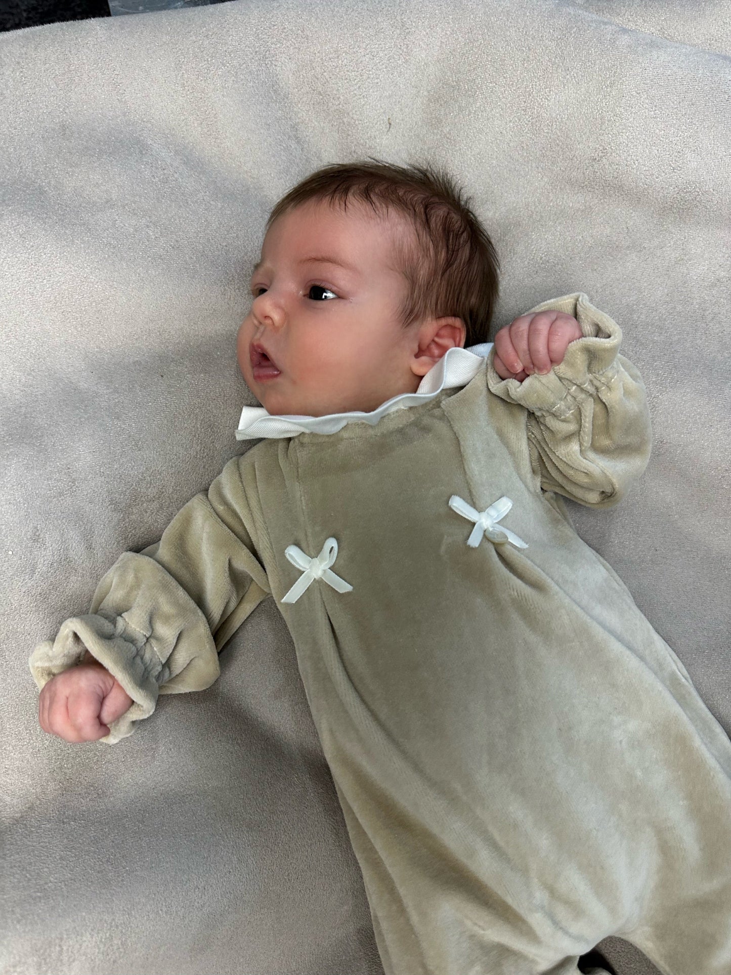 Coccode Taupe Velour Ruffle Collar Babygrow