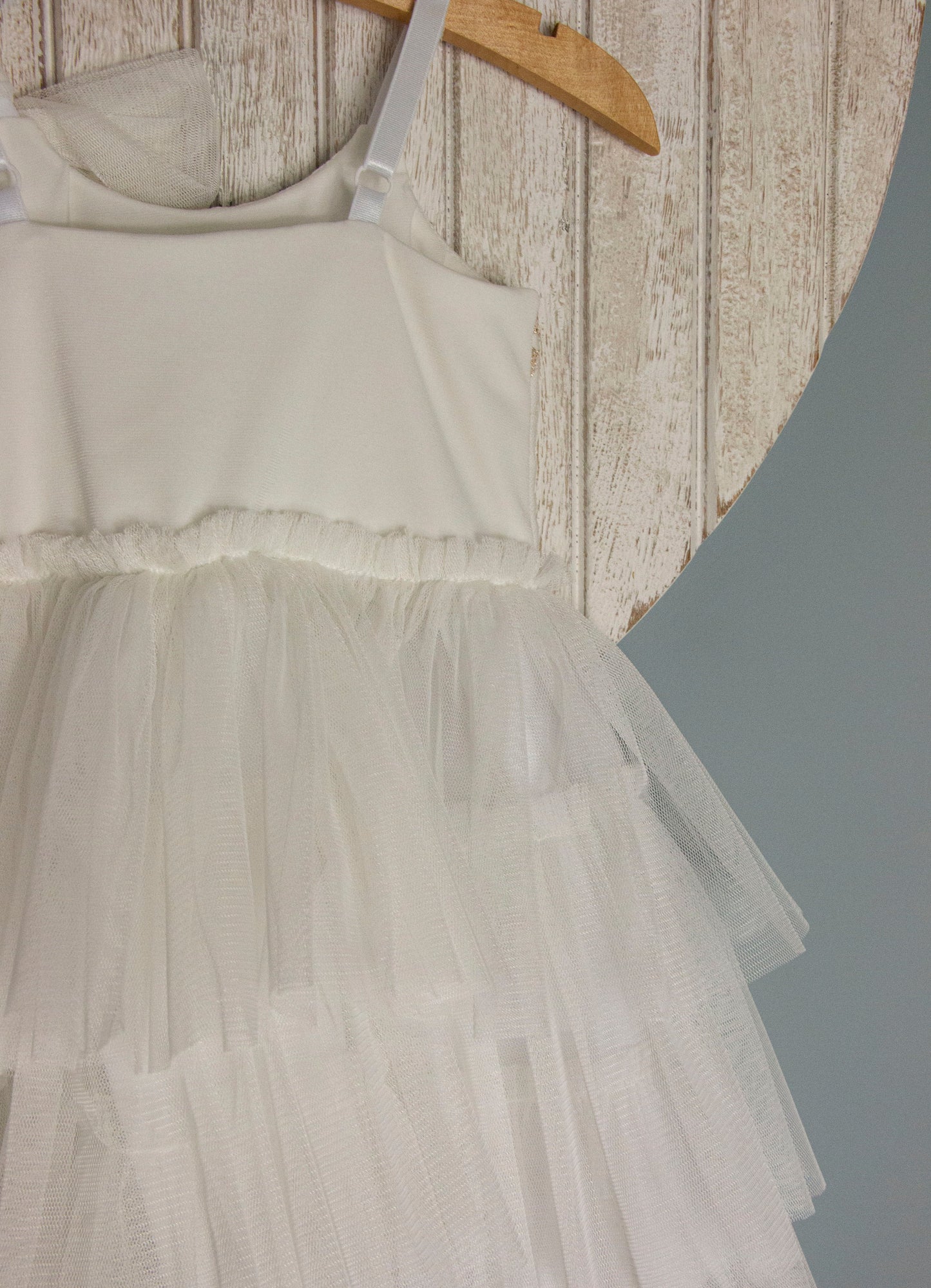 Wish and Wonder Angel Tutu Dress